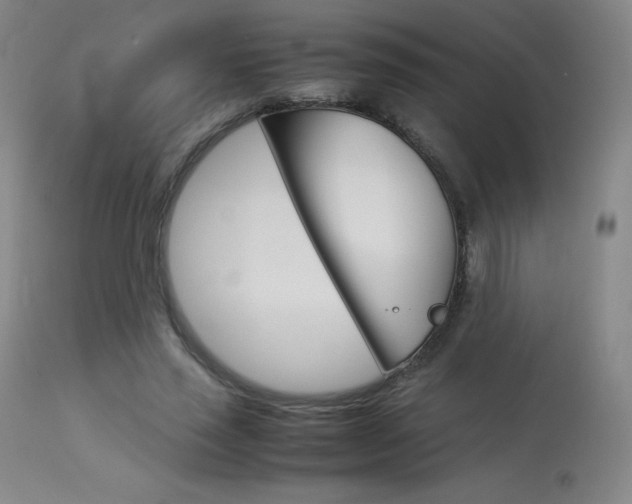 X0000114140637200910081027