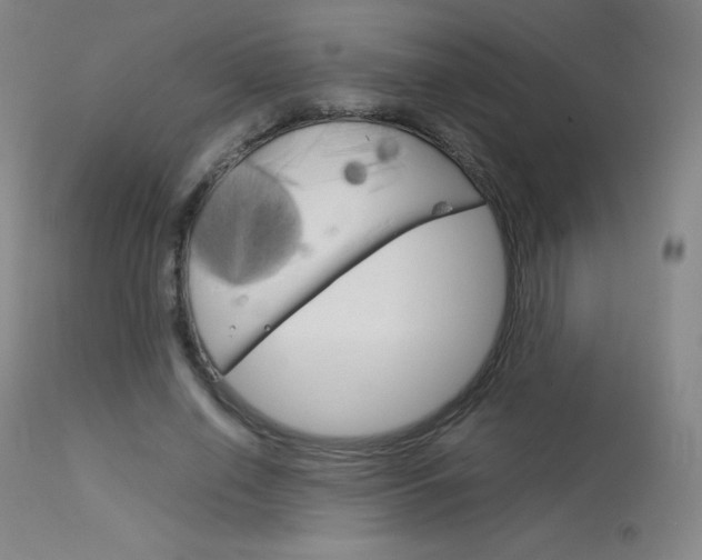 X0000114140638200910081027