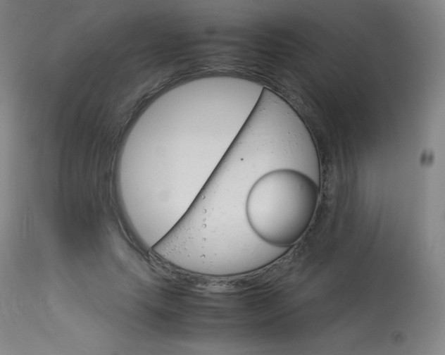 X0000114140639200910081027