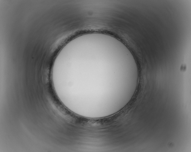 X0000114140640200910081027