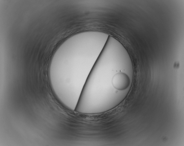 X0000114140641200910081027