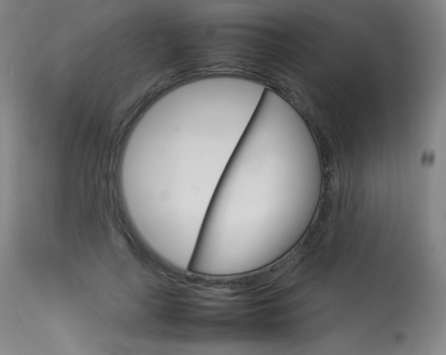 X0000114140643200910081027