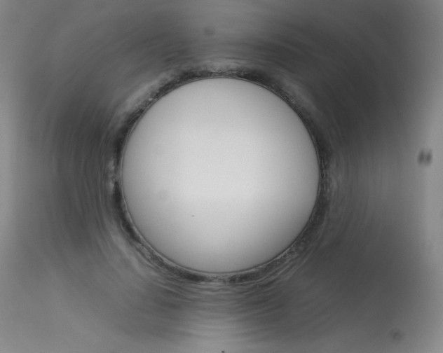 X0000114140644200910081027