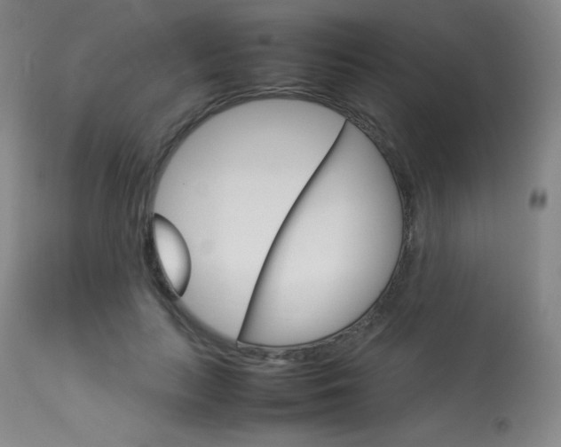 X0000114140647200910081027
