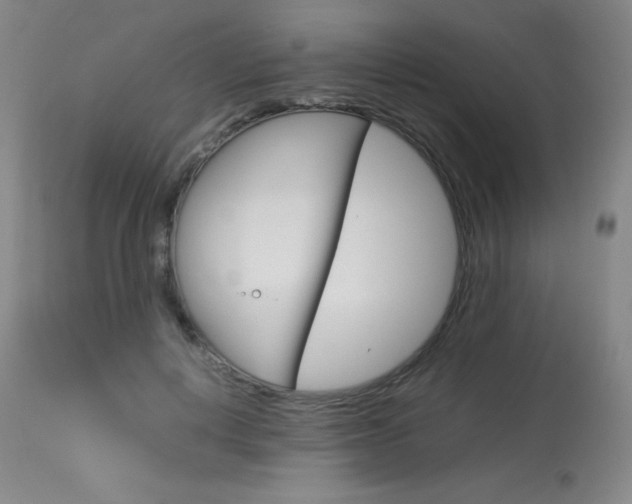 X0000114140648200910081027