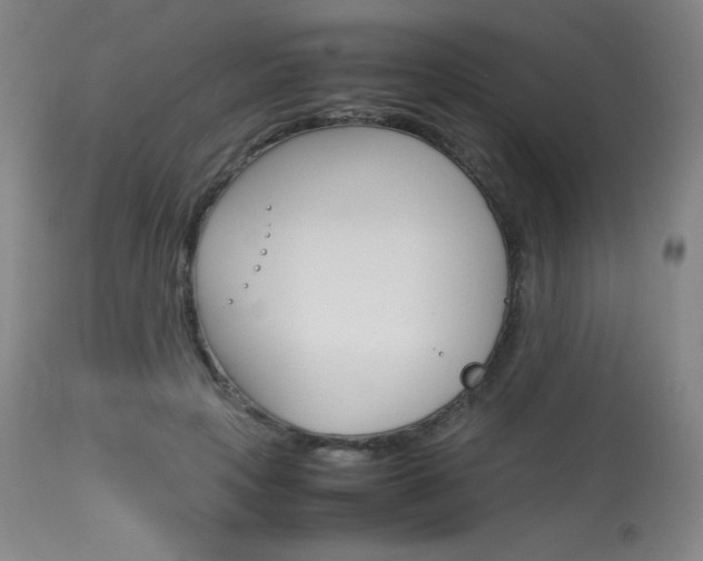 X0000114140649200910081027