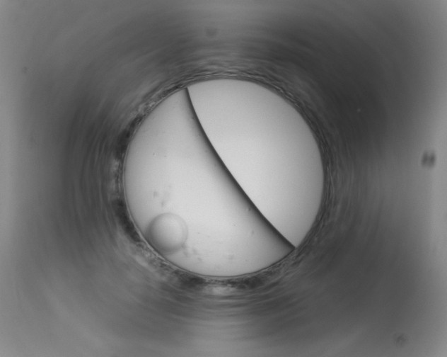 X0000114140650200910081027