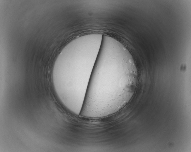 X0000114140651200910081027