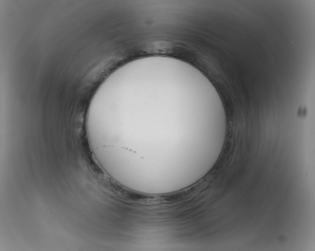 X0000114140652200910081027