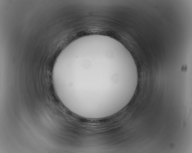X0000114140653200910081027