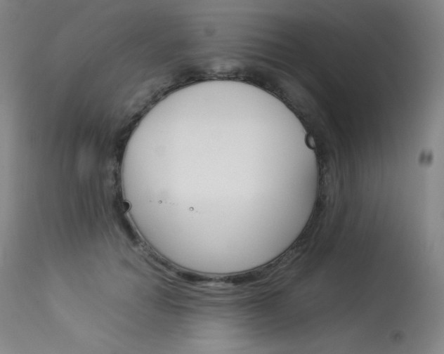 X0000114140654200910081027