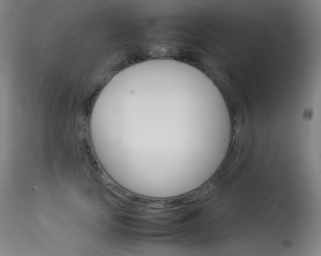 X0000114140659200910081027