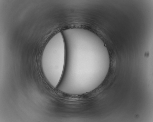 X0000114140661200910081027