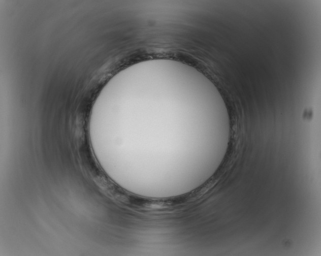 X0000114140662200910081027