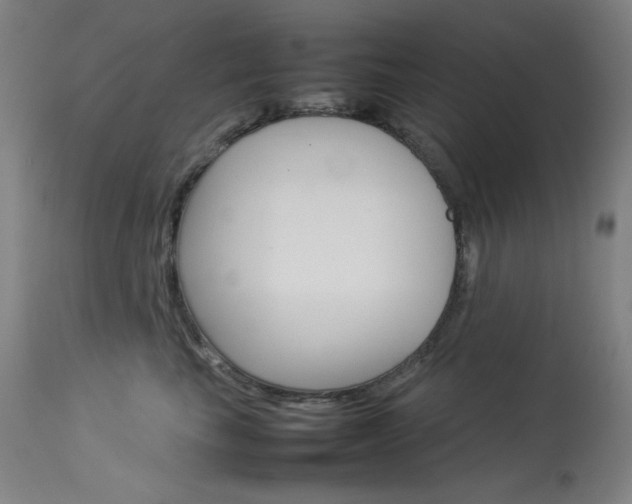 X0000114140665200910081027