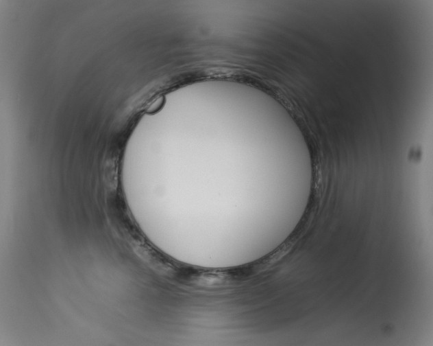 X0000114140666200910081027
