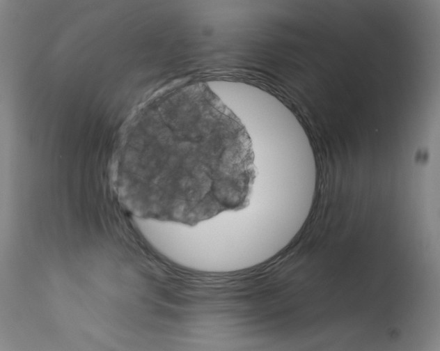 X0000114140668200910081027