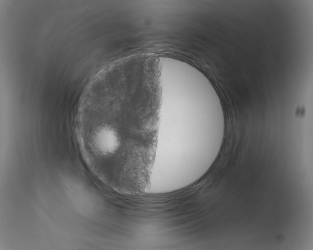 X0000114140670200910081027