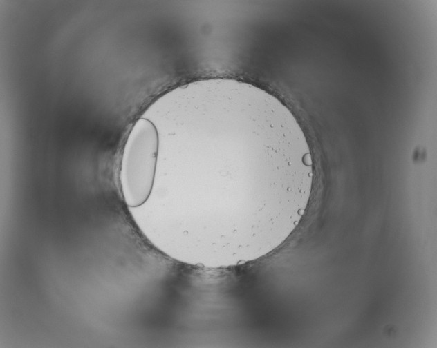 X0000114140672200910081027