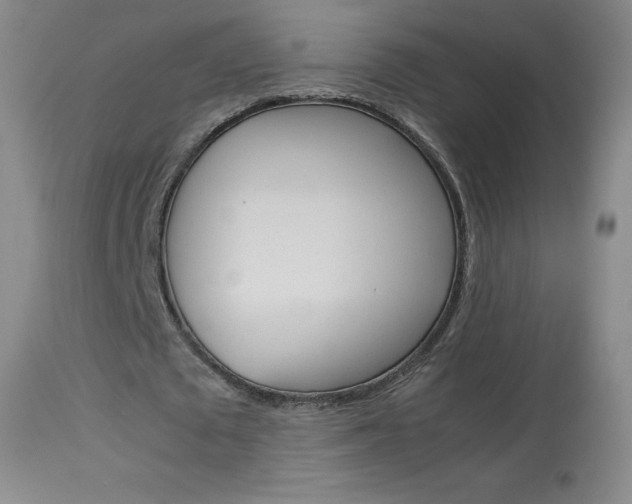 X0000114140673200910081027