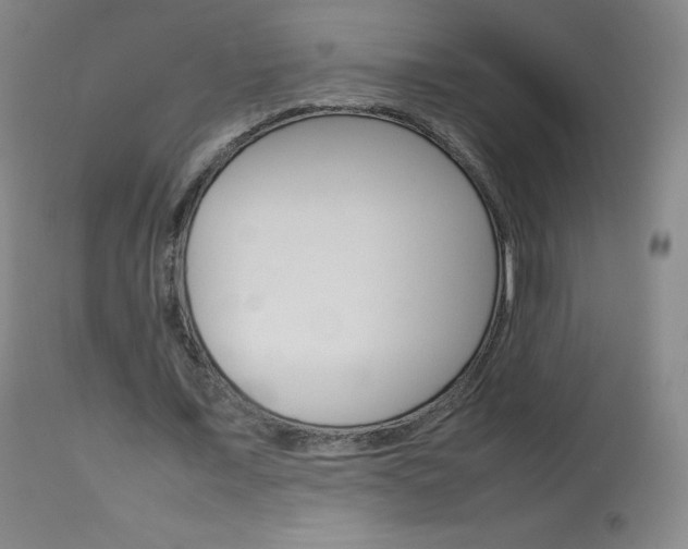 X0000114140675200910081026