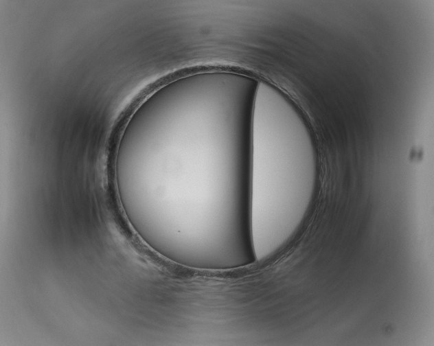 X0000114140676200910081026