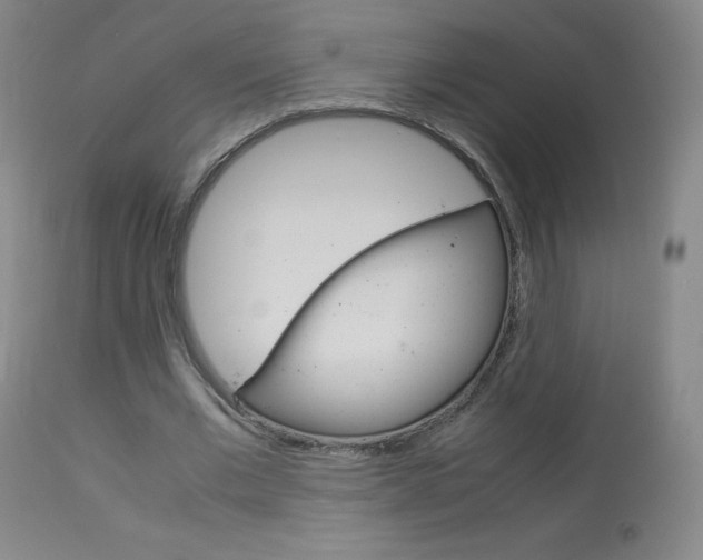 X0000114140677200910081026