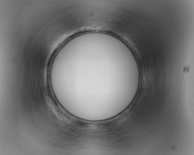 X0000114140678200910081026