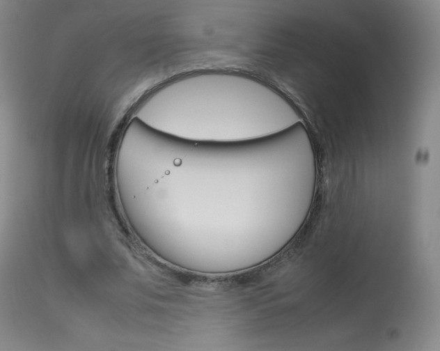 X0000114140679200910081026