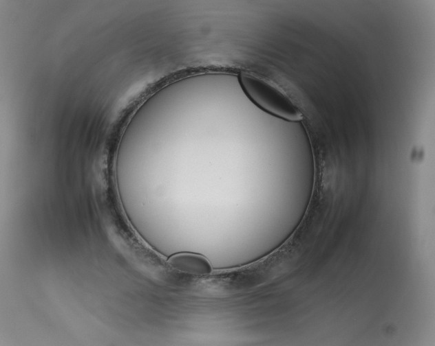 X0000114140680200910081026
