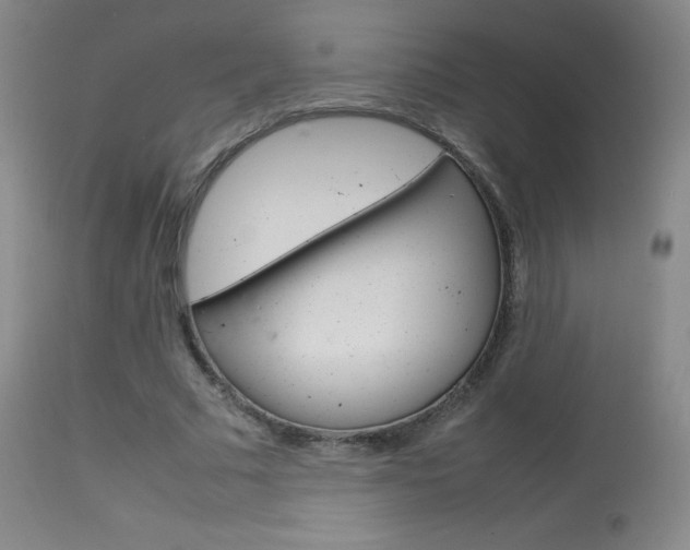 X0000114140681200910081026