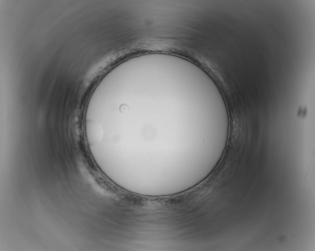 X0000114140682200910081026