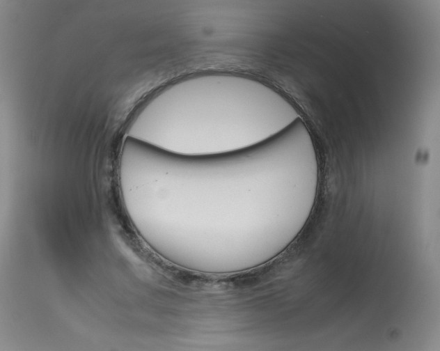 X0000114140683200910081026