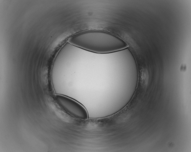 X0000114140684200910081026