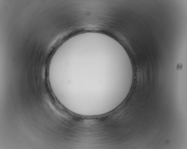 X0000114140686200910081026