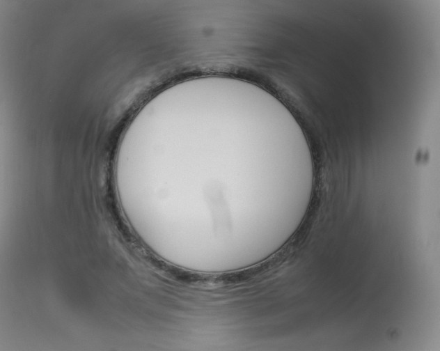 X0000114140687200910081026