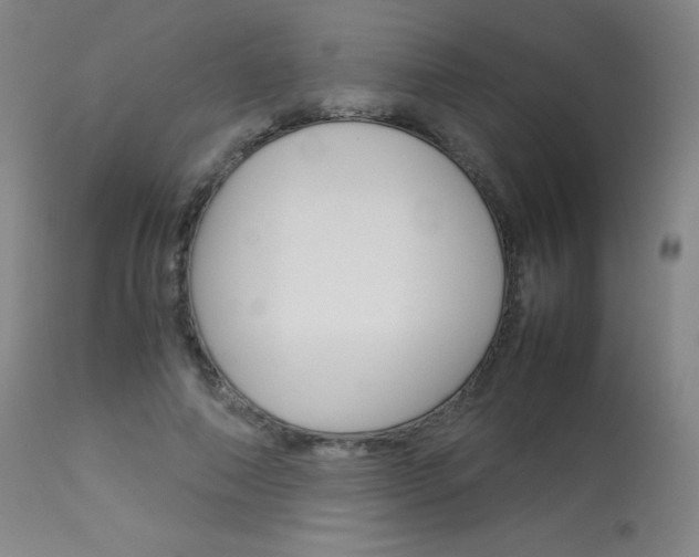 X0000114140690200910081026