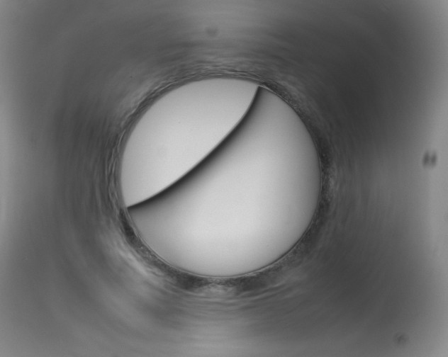 X0000114140691200910081026
