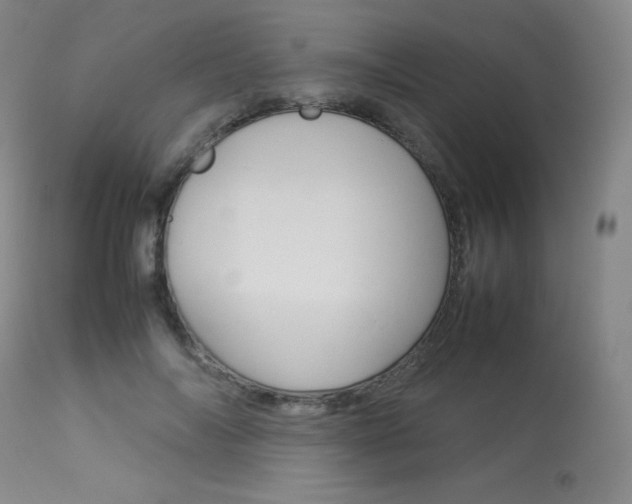 X0000114140694200910081026