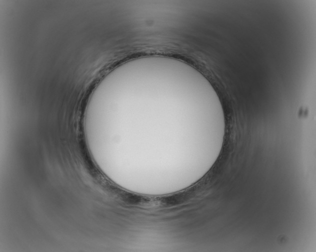 X0000114140695200910081026