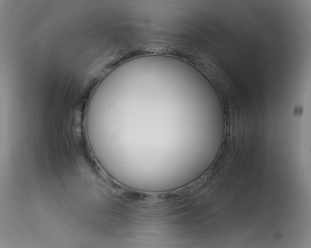 X0000114140696200910081026