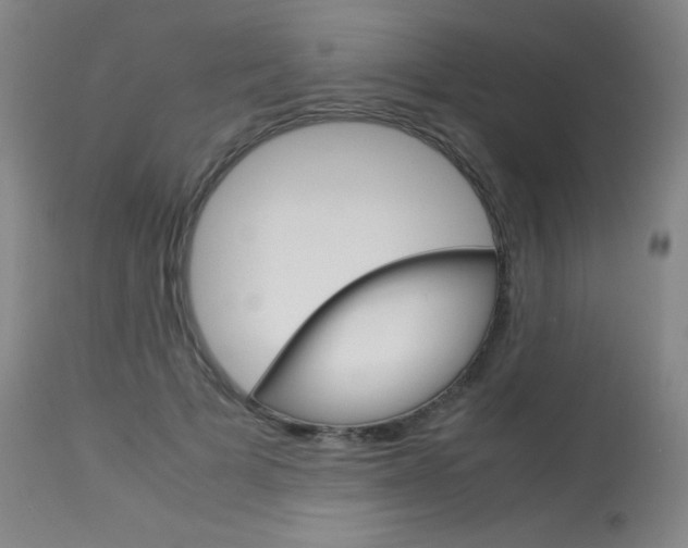 X0000114140697200910081026
