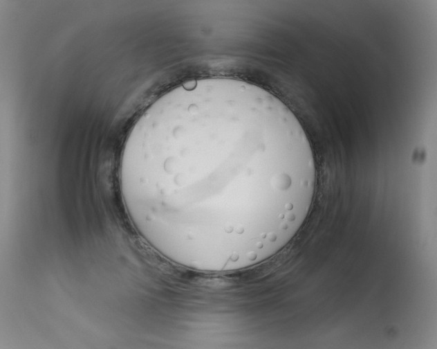 X0000114140698200910081026
