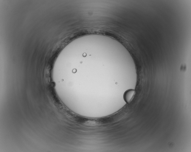 X0000114140699200910081026