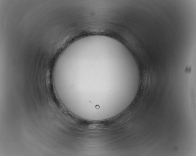 X0000114140700200910081026