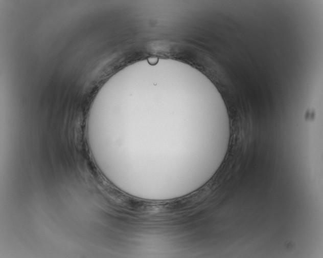 X0000114140702200910081026