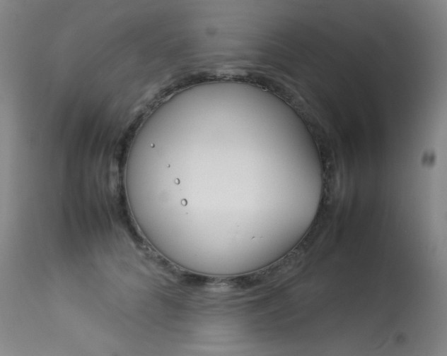 X0000114140704200910081026