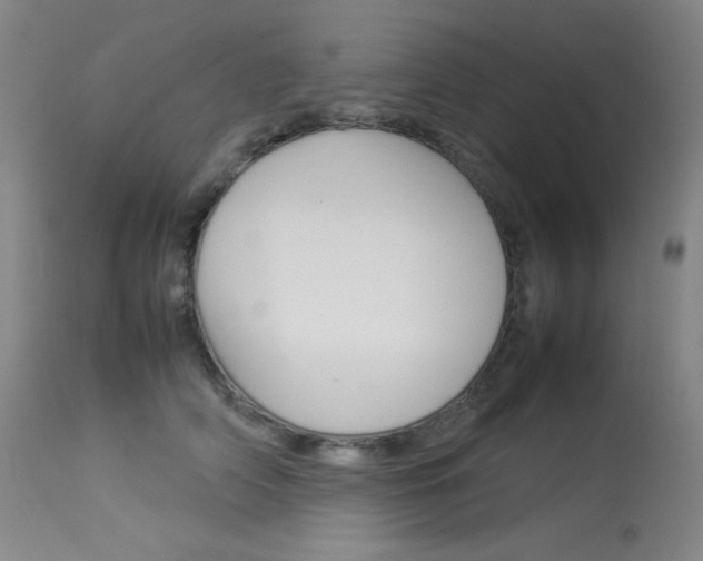 X0000114140706200910081026