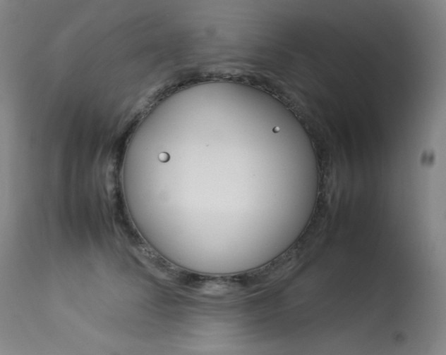X0000114140708200910081026