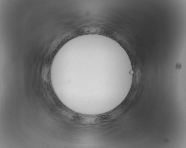 X0000114140709200910081026